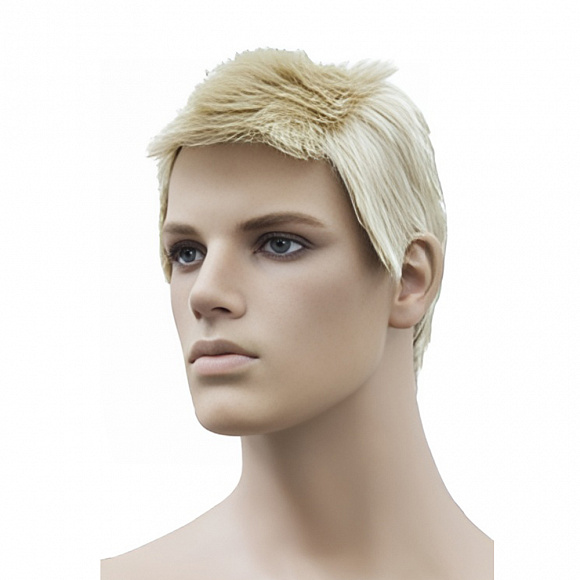 Парик JUSTIN WIG/#613