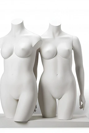 Женские торсы XL Torsos Female