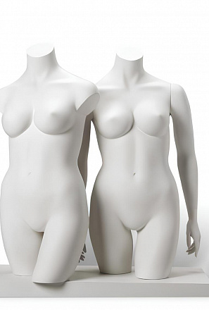 Женские торсы XL Torsos Female