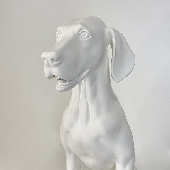 Собака sitting породы WEIMARANER белая матовая