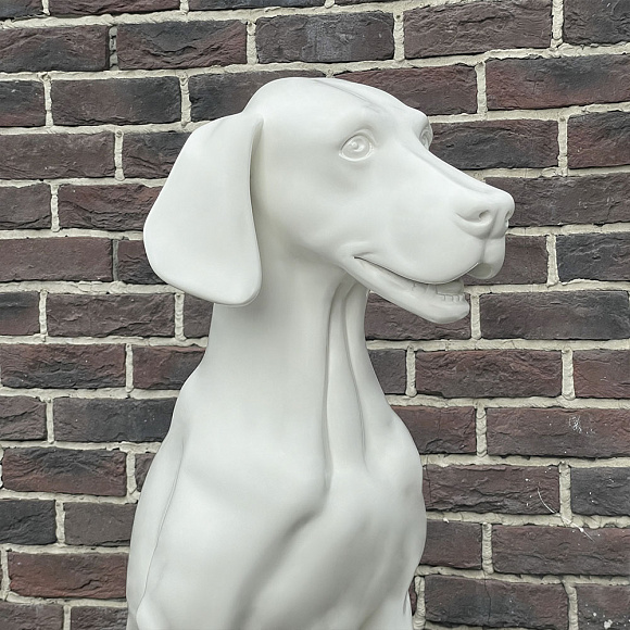 Собака sitting породы WEIMARANER белая матовая