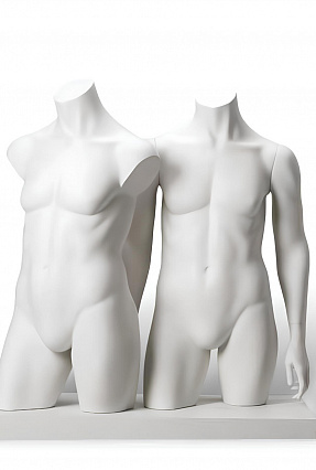 Мужские торсы XL Torsos Male