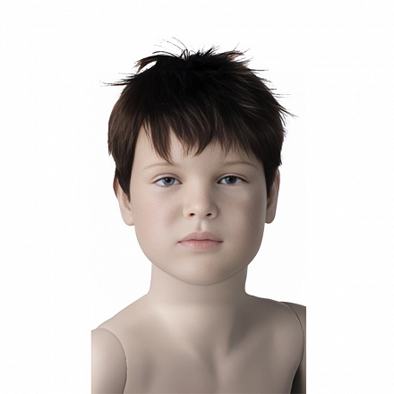Парик DAVID-N-B6 WIG / 6