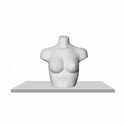 Женский бюст Female bust-3-matt 9010 Ral