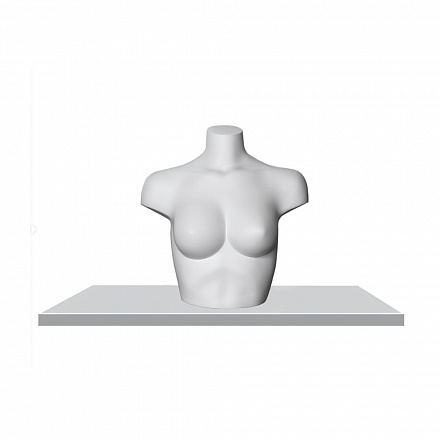 Женский бюст Female bust-3-matt 9010 Ral