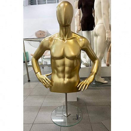 Торс мужской Male torso-2HL/gold (Выставочный образец)