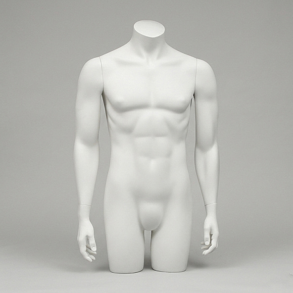 Мужские торсы System torso male