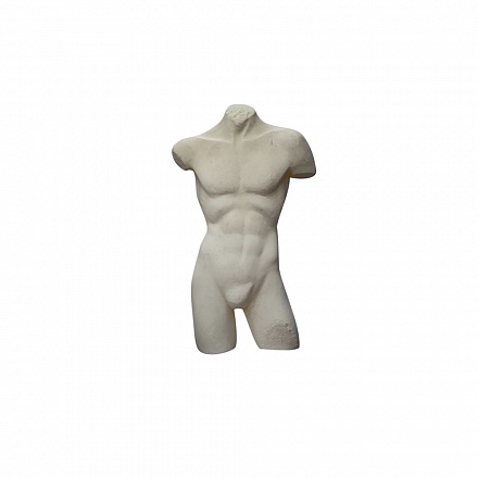 Торс мужской Torso dlv105-3 телесный